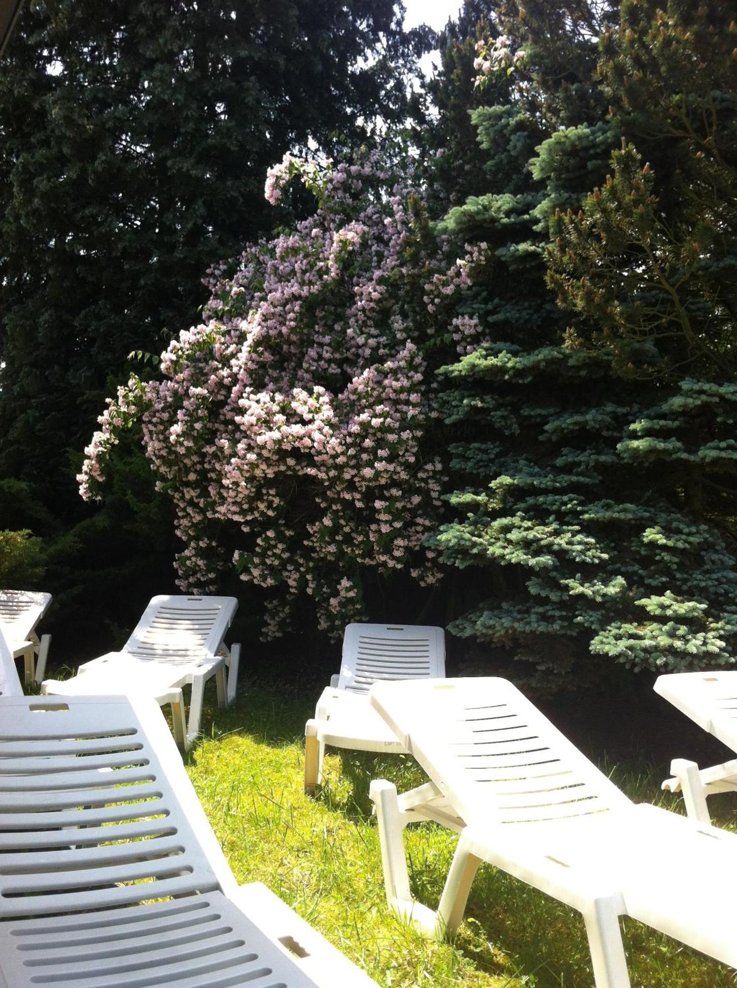 Zimmer Weiss Altenstadt  Bagian luar foto
